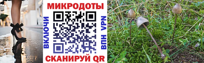 darknet какой сайт  Березники  Галлюциногенные грибы MAGIC MUSHROOMS 